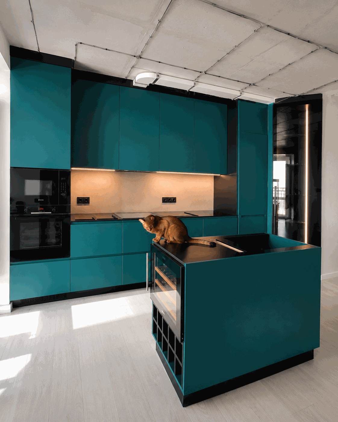 Modern custom kitchen cabinets
